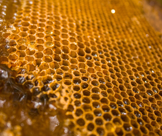 Šmarje flower honey + API PAPI 900g + 250g